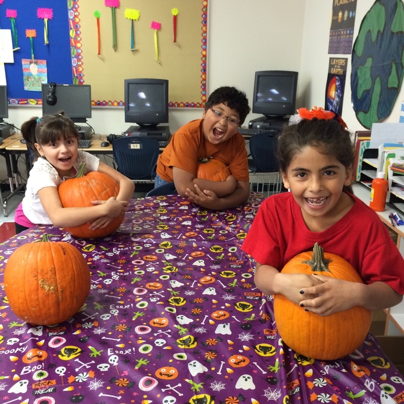 Pumpkin Rotations - Ms. sandoval's Class